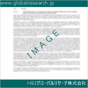 グローバルリサーチ調査資料のイメージ